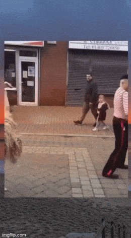 daily gifdump 49 gifs 5.html - 1 HD GIF | Premium Gallery 2026