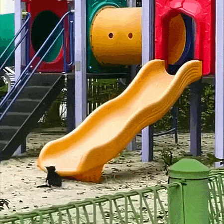 daily gifdump 49 gifs 5.html - 1 HD GIF | Premium Gallery 2026