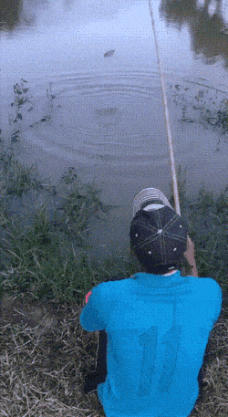 daily gifdump 49 gifs 5.html - 1 HD GIF | Premium Gallery 2026