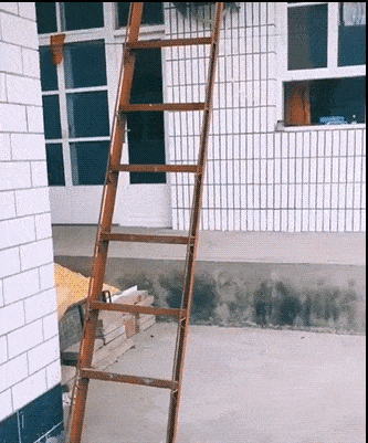 daily gifdump 49 gifs 5.html - 1 HD GIF | Premium Gallery 2026