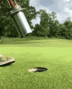 daily gifdump 49 gifs 5.html - 1 HD GIF | Premium Gallery 2026