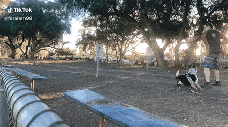 daily gifdump 49 gifs 5.html - 1 HD GIF | Premium Gallery 2026