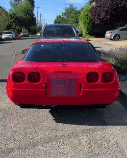 daily gifdump 49 gifs 5.html - 1 HD GIF | Premium Gallery 2026