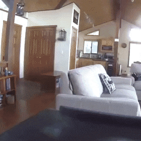 daily gifdump 49 gifs 5.html - 1 HD GIF | Premium Gallery 2026