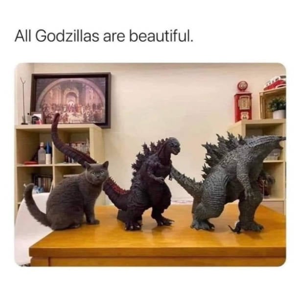 cats being absolute weirdos 37 pics 14.html - 37 HD Photos | Premium Gallery 2026