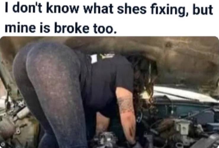 Wis-DUMB Memes at Maximum Capacity