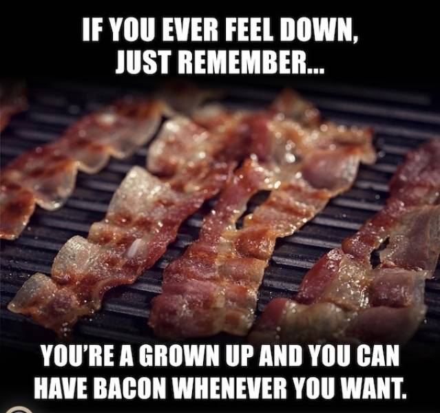 Wis-DUMB Memes at Maximum Capacity