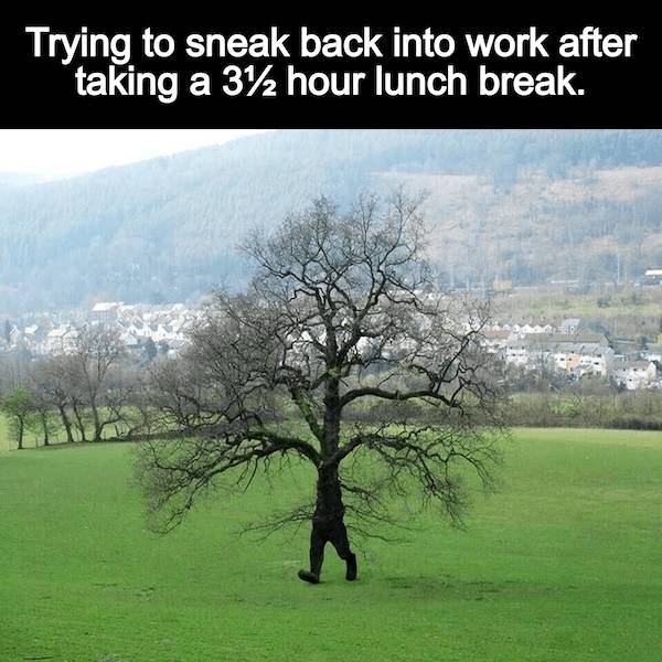 Wis-DUMB Memes at Maximum Capacity