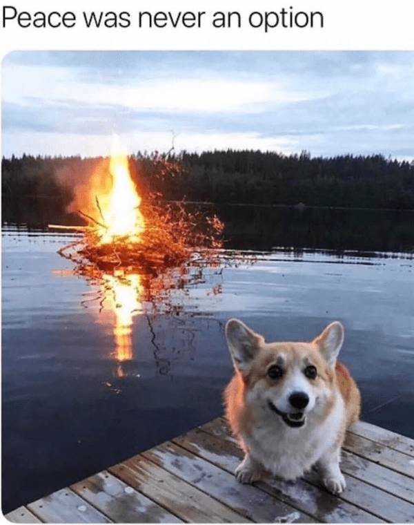 Wis-DUMB Memes at Maximum Capacity