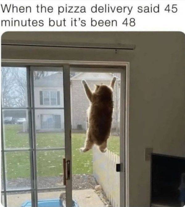 Wis-DUMB Memes at Maximum Capacity