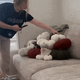 daily gifdump 56 gifs 2.html - 1 HD GIF | Premium Gallery 2026