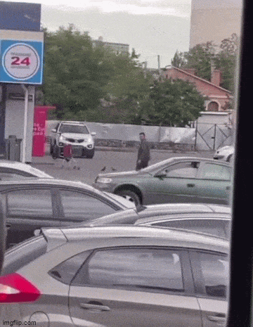 daily gifdump 56 gifs 2.html - 1 HD GIF | Premium Gallery 2026