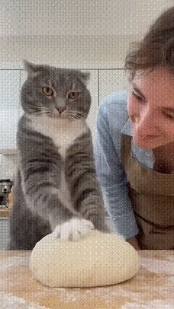 daily gifdump 56 gifs 2.html - 1 HD GIF | Premium Gallery 2026