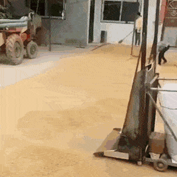 daily gifdump 56 gifs 2.html - 1 HD GIF | Premium Gallery 2026