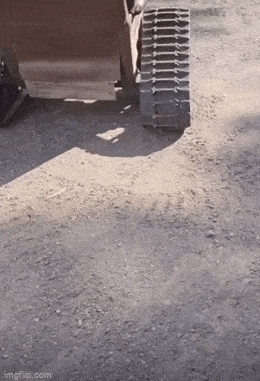 daily gifdump 56 gifs 2.html - 1 HD GIF | Premium Gallery 2026