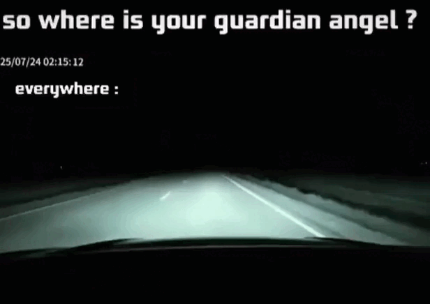 daily gifdump 56 gifs 2.html - 1 HD GIF | Premium Gallery 2026