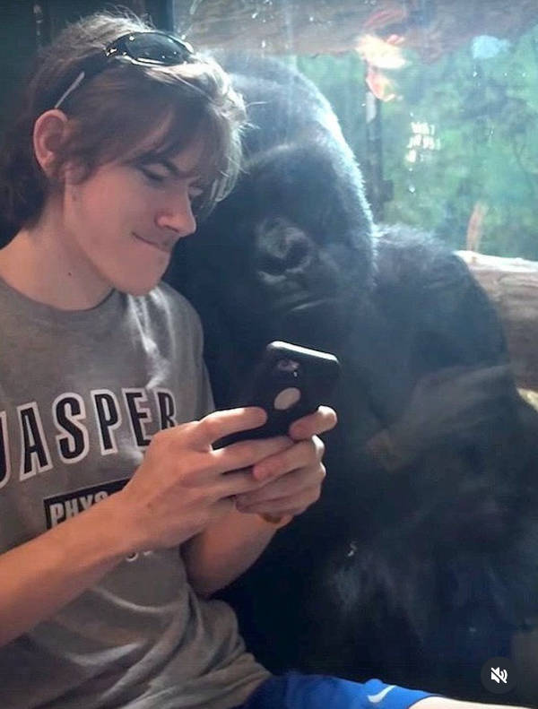 The Funniest Creatures on the Internet