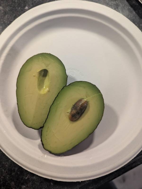 Unexpectedly Awesome Moments