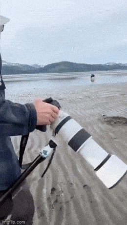 daily gifdump 53 gifs 6.html - 1 HD GIF | Premium Gallery 2026