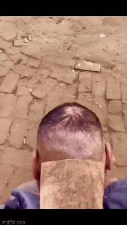 daily gifdump 53 gifs 6.html - 1 HD GIF | Premium Gallery 2026