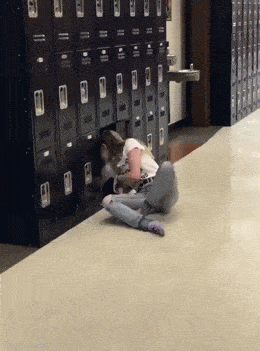 daily gifdump 53 gifs 6.html - 1 HD GIF | Premium Gallery 2026