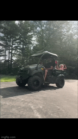 daily gifdump 53 gifs 6.html - 1 HD GIF | Premium Gallery 2026