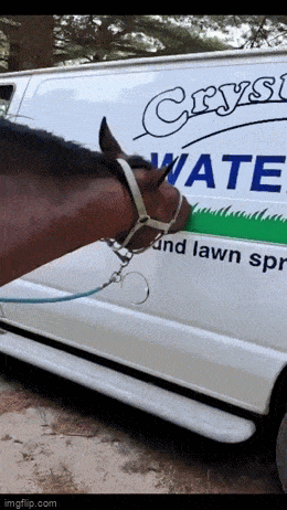 daily gifdump 53 gifs 6.html - 1 HD GIF | Premium Gallery 2026