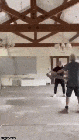 daily gifdump 53 gifs 6.html - 1 HD GIF | Premium Gallery 2026