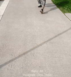 daily gifdump 53 gifs 6.html - 1 HD GIF | Premium Gallery 2026