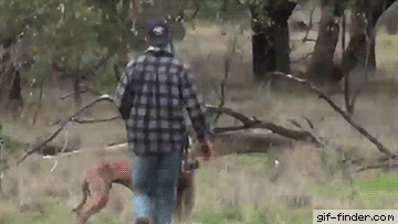 daily gifdump 53 gifs 6.html - 1 HD GIF | Premium Gallery 2026