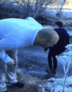 epic fails one gif at a time 24 gifs 6.html - 1 HD GIF | Premium Gallery 2026