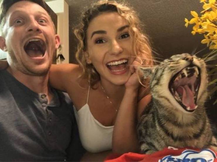 daily picdump 45 pics 12.html - 45 HD Photos | Premium Gallery 2026