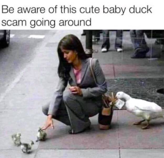 daily picdump 45 pics 12.html - 45 HD Photos | Premium Gallery 2026