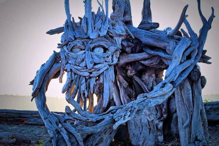 daily picdump 45 pics 12.html - 45 HD Photos | Premium Gallery 2026