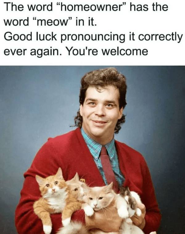 daily picdump 45 pics 12.html - 45 HD Photos | Premium Gallery 2026