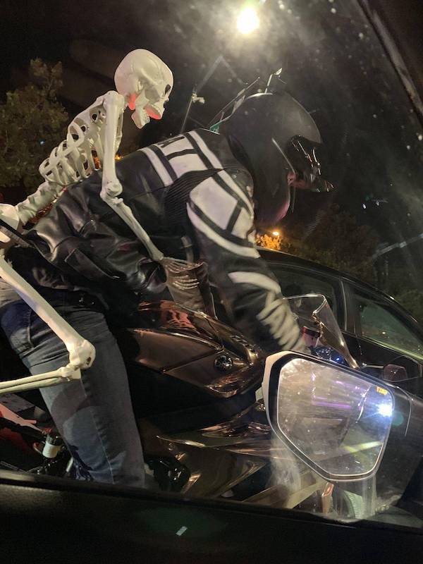 daily picdump 45 pics 12.html - 45 HD Photos | Premium Gallery 2026