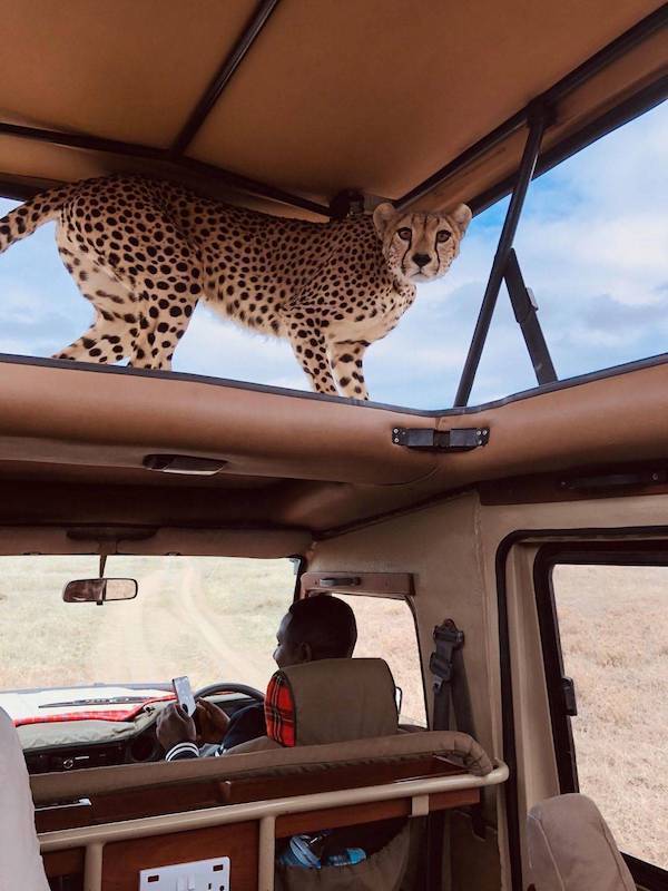 daily picdump 45 pics 12.html - 45 HD Photos | Premium Gallery 2026