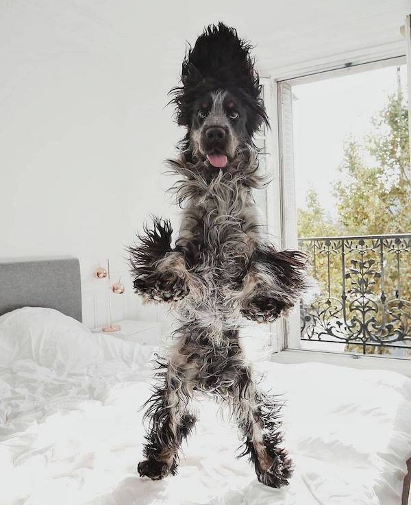 daily picdump 45 pics 12.html - 45 HD Photos | Premium Gallery 2026