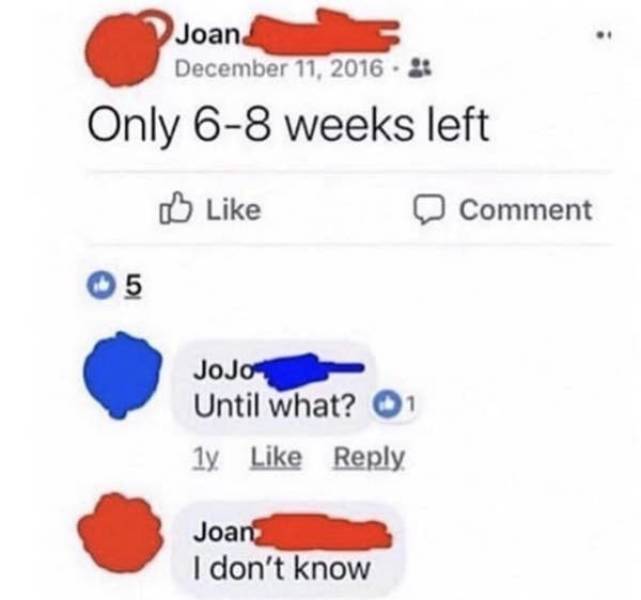 so dumb its actually hilarious 50 pics 5.html - 50 HD Photos | Premium Gallery 2026