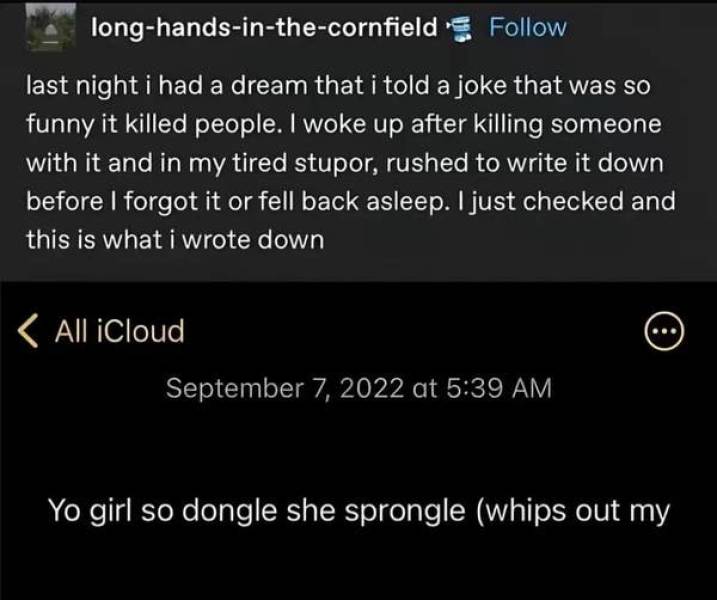 so dumb its actually hilarious 50 pics 5.html - 50 HD Photos | Premium Gallery 2026