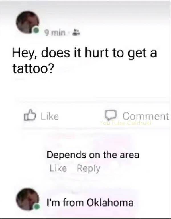 So Dumb It’s Actually Hilarious