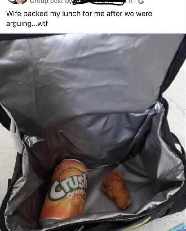 so dumb its actually hilarious 50 pics 5.html - 50 HD Photos | Premium Gallery 2026