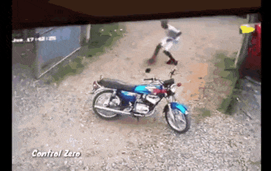 daily gifdump 52 gifs 1.html - 1 HD GIF | Premium Gallery 2026