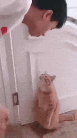 daily gifdump 52 gifs 1.html - 1 HD GIF | Premium Gallery 2026