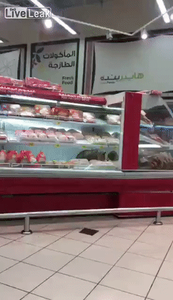 daily gifdump 52 gifs 1.html - 1 HD GIF | Premium Gallery 2026