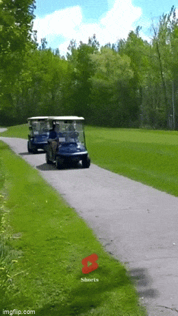 daily gifdump 52 gifs 1.html - 1 HD GIF | Premium Gallery 2026