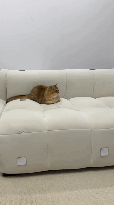 daily gifdump 52 gifs 1.html - 1 HD GIF | Premium Gallery 2026