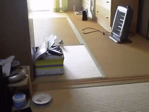 daily gifdump 52 gifs 1.html - 1 HD GIF | Premium Gallery 2026