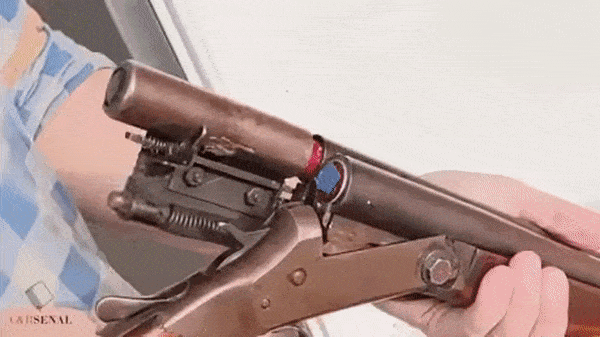 daily gifdump 52 gifs 1.html - 1 HD GIF | Premium Gallery 2026