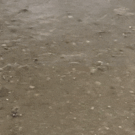 daily gifdump 52 gifs 1.html - 1 HD GIF | Premium Gallery 2026